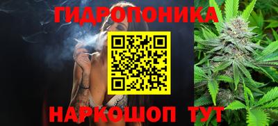 альфа пвп Славгород