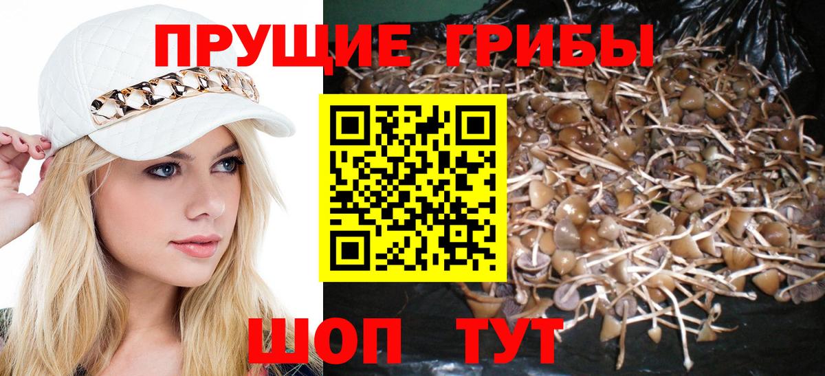 Галлюциногенные грибы Cubensis Белгород